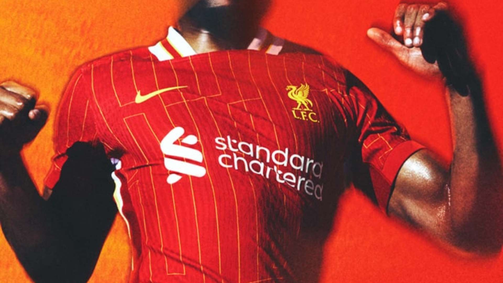 凭借其不屈 凭借其不屈